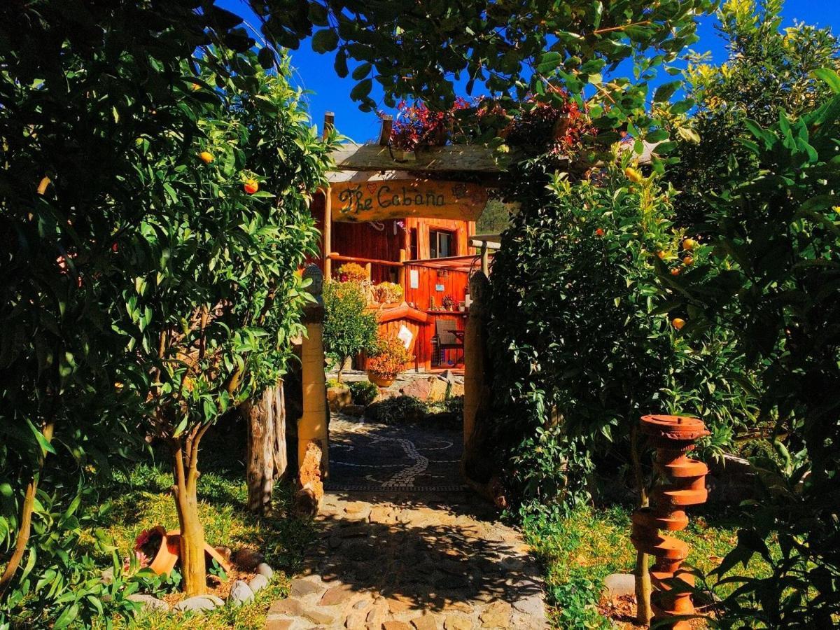 فيلا Casas Maravilha By Madeira Sun Travel كالهيتا المظهر الخارجي الصورة
